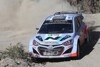 Paddon fiebert Sardinien entgegen: "Ein Traum wird wahr"