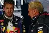 Bild zum Inhalt: Marko: "Vettel wächst mit der Aufgabe"