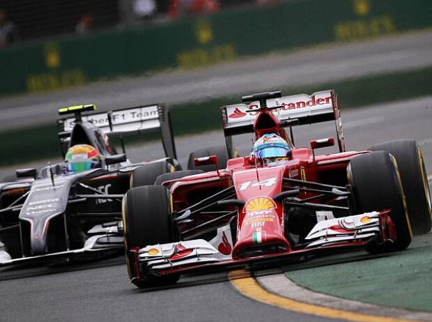 Fernando Alonso, Esteban Gutierrez Fernando Alonso, Esteban Gutierrez