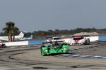 Scott Sharp, Ryan Dalziel und David Brabham 