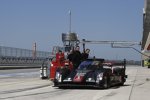 Filipe Albuquerque, Marco Bonanomi und Oliver Jarvis (Audi Sport) 