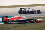 Jenson Button (McLaren) findet den richten Weg, Max Chilton (Marussia) nicht