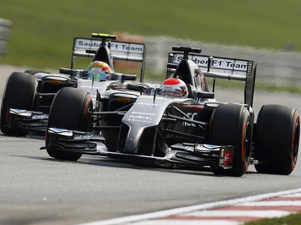 Adrian Sutil, Esteban Gutierrez