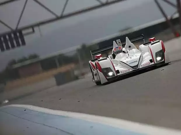 Der Zytek-Nissan des Jota-Teams Titel-Bild zur News: Der Zytek-Nissan des Jota-Teams