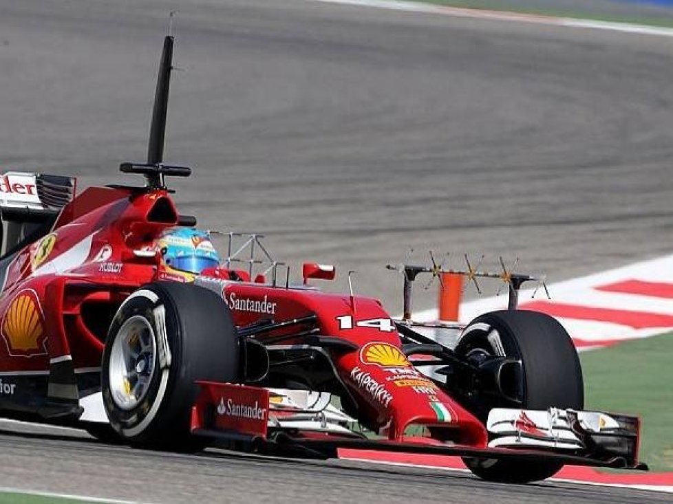 Fernando Alonso
