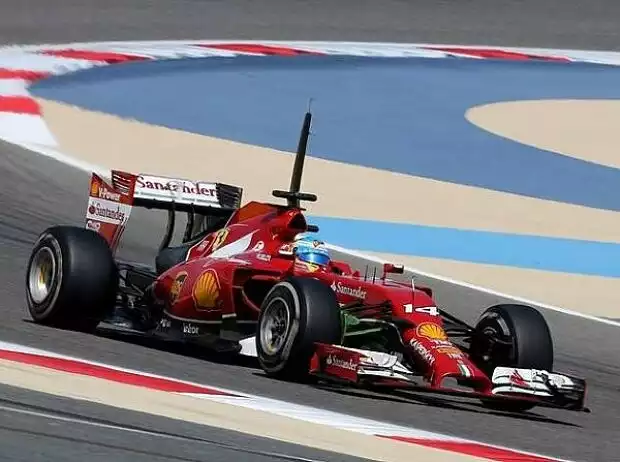 Titel-Bild zur News: Fernando Alonso