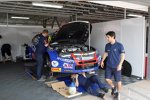 Tom Coronel (ROAL-Chevrolet) 