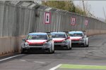 Citroen einsam an der Spitze