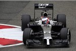 Jenson Button (McLaren) 