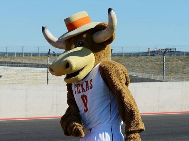 Maskottchen Texas Austin Maskottchen Texas Austin
