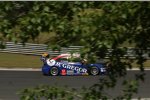 Tom Coronel (ROAL-Chevrolet) 