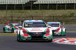 Gabriele Tarquini (Honda) und Tiago Monteiro (Honda) 
