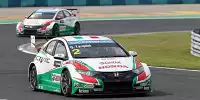 Gabriele Tarquini, Tiago Monteiro