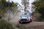 Thierry Neuville (Hyundai)