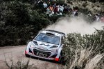 Thierry Neuville (Hyundai)