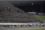 Restart mit Joey Logano (Penske) und Kevin Harvick (Stewart/Haas) 