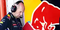 Bild zum Inhalt: Newey weiter bei Red Bull: Vettel und Ricciardo freut's