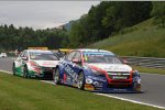 Tom Coronel (ROAL-Chevrolet) und Gabriele Tarquini (Honda)