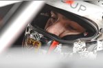 Norbert Michelisz (Zengö-Honda) 