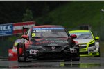 Norbert Michelisz (Zengö-Honda) 