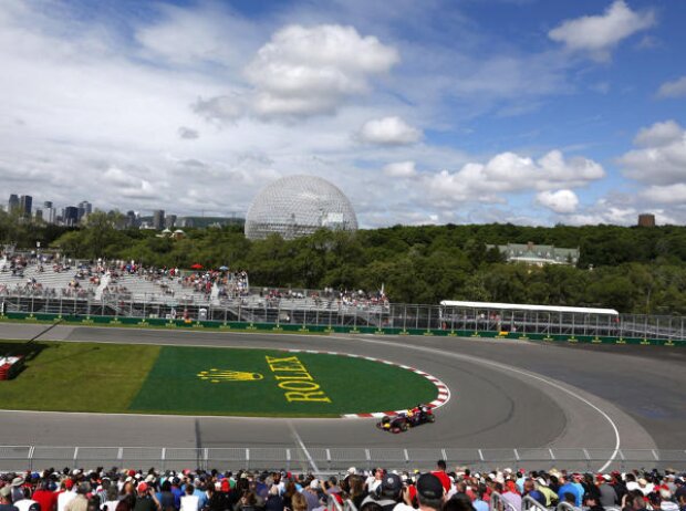 Sebastian Vettel Sebastian Vettel