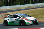 Gabriele Tarquini (Honda) 