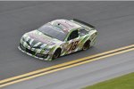 Kyle Busch (Gibbs) 