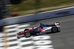 Takuma Sato (Foyt) 