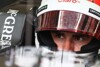 Sutil: "Es ist schwierig eine Diva zu kontrollieren"
