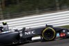 Van der Garde: FRIC-Verbot nicht Ursache für Testunfall
