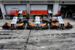 Nasen des Force India