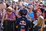 Daniel Ricciardo (Red Bull) 