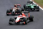 Max Chilton (Marussia) 