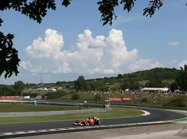 Fernando Alonso Titel-Bild zur News: Fernando Alonso