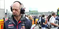 Bild zum Inhalt: Newey über Kollegen: "Wenn Truthähne für Weihnachten sind"
