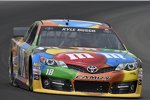 Kyle Busch (Gibbs) 