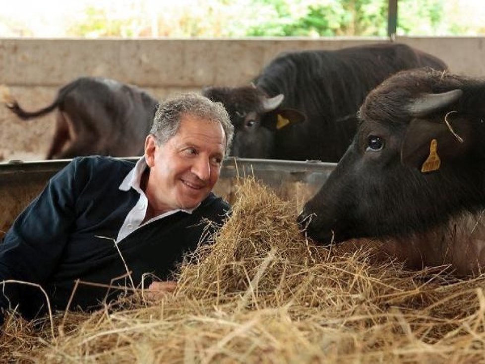 Jody Scheckter