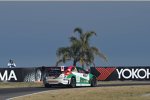 Mehdi Bennani (Proteam-Honda) 