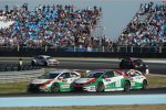 Mehdi Bennani (Proteam-Honda) 