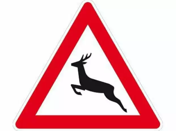 Wildwechsel Titel-Bild zur News: Wildwechsel