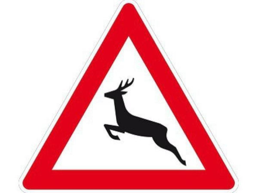 Wildwechsel