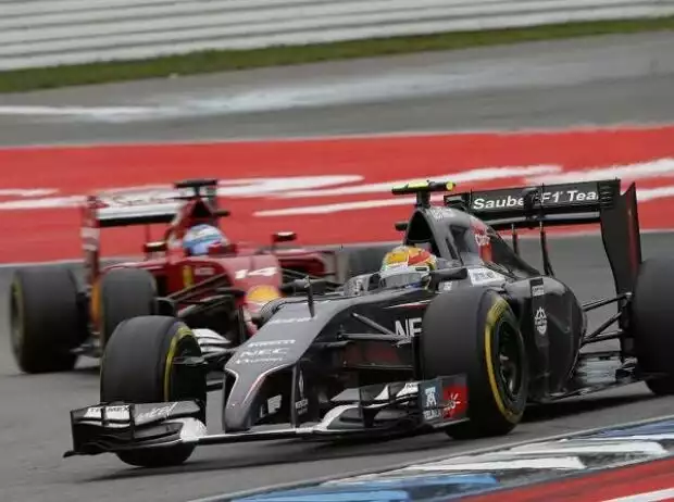 Titel-Bild zur News: Esteban Gutierrez, Fernando Alonso
