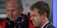 Helmut Marko, Sebastian Vettel