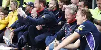 Daniel Ricciardo, Adrian Newey, Christian Horner, Sebastian Vettel