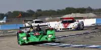 Scott Sharp, Ryan Dalziel, David Brabham
