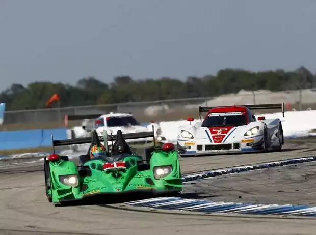 Scott Sharp, Ryan Dalziel, David Brabham Titel-Bild zur News: Scott Sharp, Ryan Dalziel, David Brabham