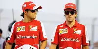 Bild zum Inhalt: Massa rät Alonso: Bleib' bei Ferrari