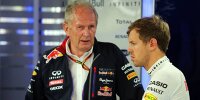 Bild zum Inhalt: Marko verteidigt Vettel: "Hätte zwei Rennen gewinnen können"