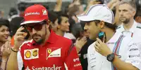 Bild zum Inhalt: Massa: Ein Jahr Pause für Alonso wäre möglich