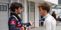 Bild zum Inhalt: Toro Rosso sucht Piloten: Sainz, Gasly oder Lynn?